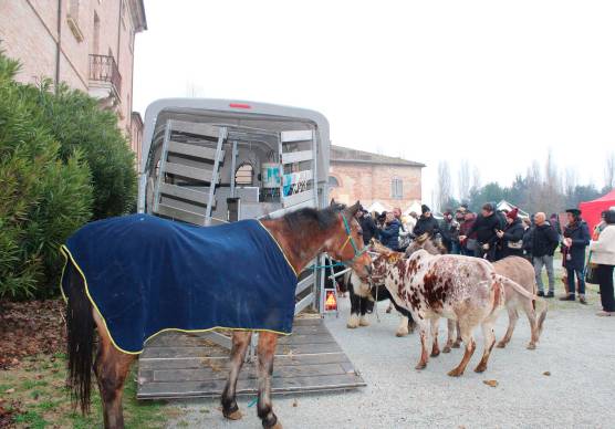 San Mauro, benedizione animali: la Torre pascoliana diventa uno zoo per qualche ora