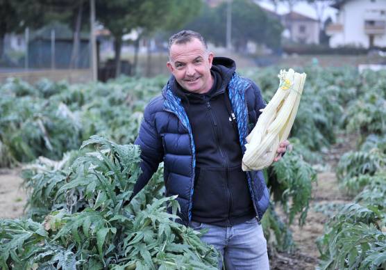 Giuseppe Fiori, titolare dell’azienda di Pinarella che produce un cardo dal sapore unico, dolce, utilizzato anche per panettoni, liquori e marmellate