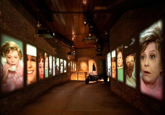 Il Museo Fellini