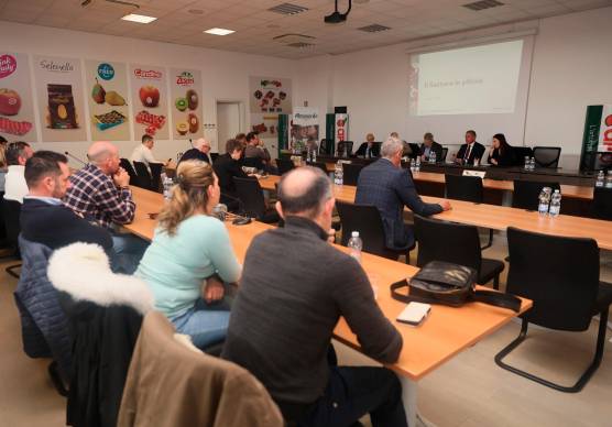 L’assemblea di settore di oggi a Cesena, nella Sala del Consiglio di Apofruit Italia