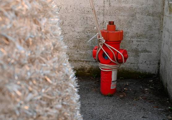 Forlì, l’albero di Natale ancorato a un idrante ne limita l’accesso e la sicurezza
