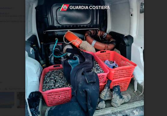 Il furgone con 63 chili di vongole e il materiale sequestrato
