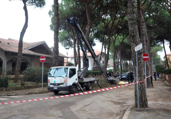 Cervia. Precipitò potando i pini. Chiesta condanna per Deltambiente
