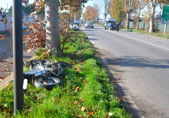 Foto Massimo Fiorentini