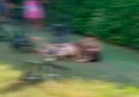 Un frame della rissa fra ragazzine