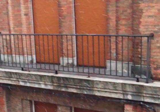 Dalla primavera all’inverno in poche ore in Romagna. Fiocchi di neve anche a Ravenna FOTO E VIDEO