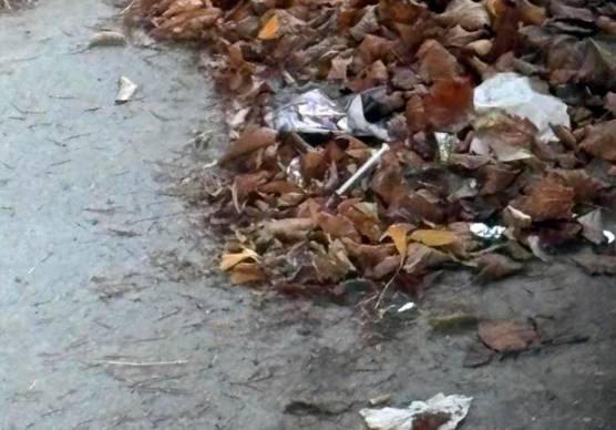 Siringa e sporcizia sotto il viadotto Kennedy