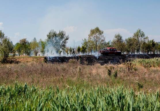 Ravenna, incendio nella zona del Parco Cesarea