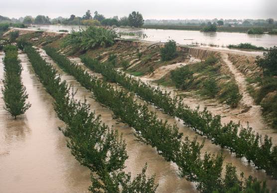 Alluvione, FdI all’attacco: “Perché la Regione paga le spese legali agli indagati? Dovrebbe costituirsi parte civile!”