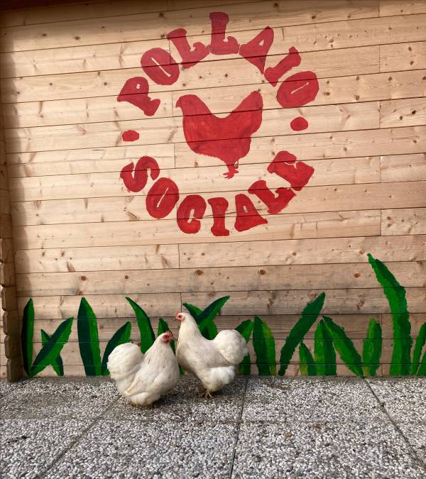 Imola, dieci anni di Pollaio Sociale: il 27 settembre la festa a Toscanella