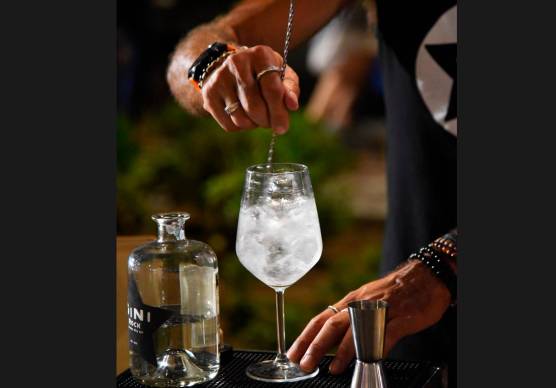 Cervia, torna il festival del gin artigianale venerdì 18 luglio