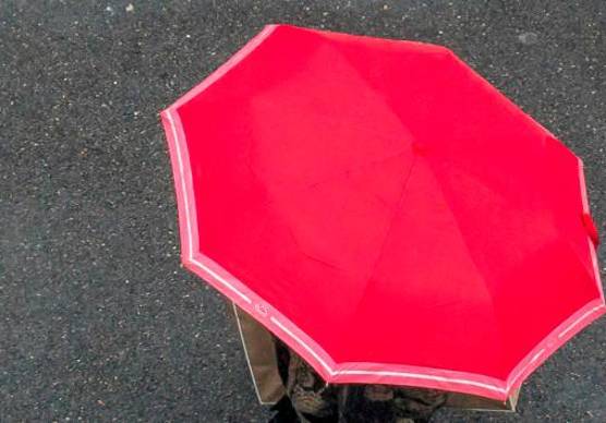 Indagini affidate ai carabinieri