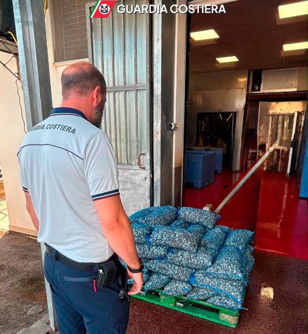 Cesenatico, 1,5 tonnellate di vongole sequestrate e rigettate in mare