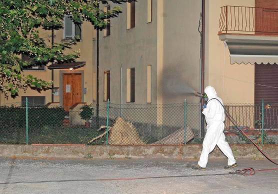 Un’operazione di disinfestazione