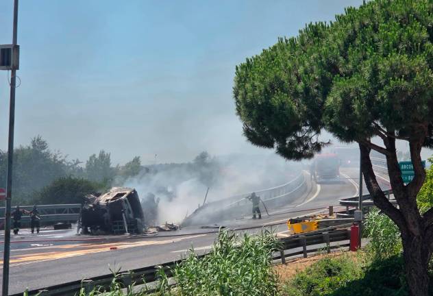 Foto e video Migliorini