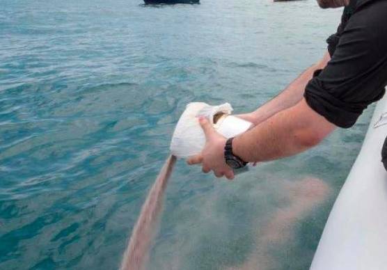 A Rimini impennata di cremazioni: “Ceneri in mare, centinaia ogni anno”