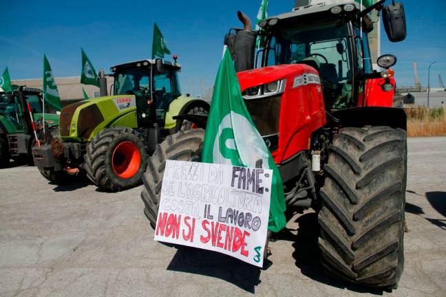 Ravenna, prezzi del grano in picchiata: flash mob dei produttori al porto - Gallery