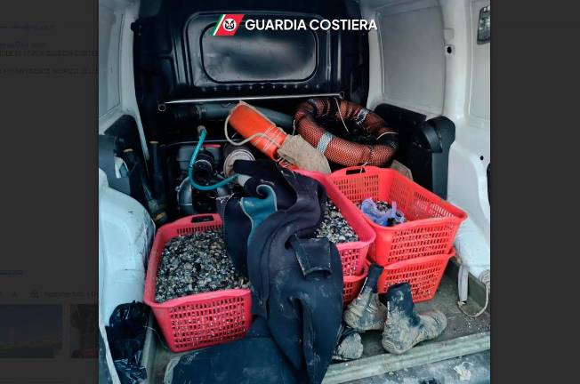 Il furgone con 63 chili di vongole e il materiale sequestrato