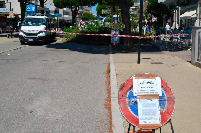 Lido di Savio, via all’abbattimento dei pini in viale Romagna - Gallery