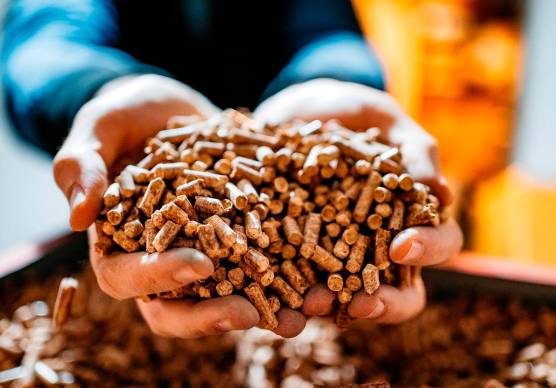 Patenti facili, pellet e pneumatici mai arrivati: smascherate tre truffe online nel Faentino