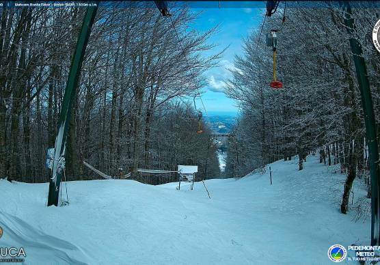 Il monte Falco a Campigna