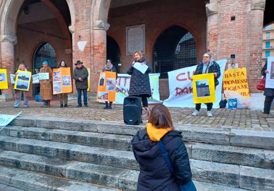Rimini. Gli animalisti in piazza per salvare i gatti intrappolati alla caserma Giulio Cesare