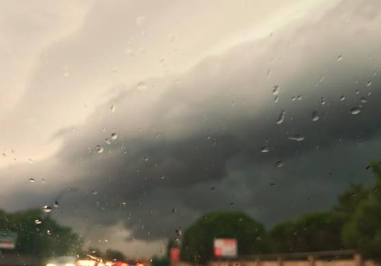 Allerta meteo per temporali in Romagna, venti a 100 km/h, alberi caduti sulla Romea