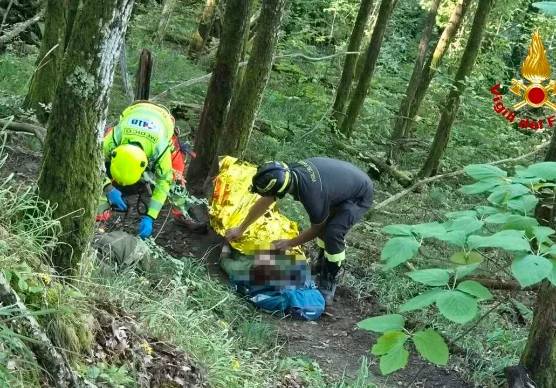 Portico, escursionisti punti da calabroni