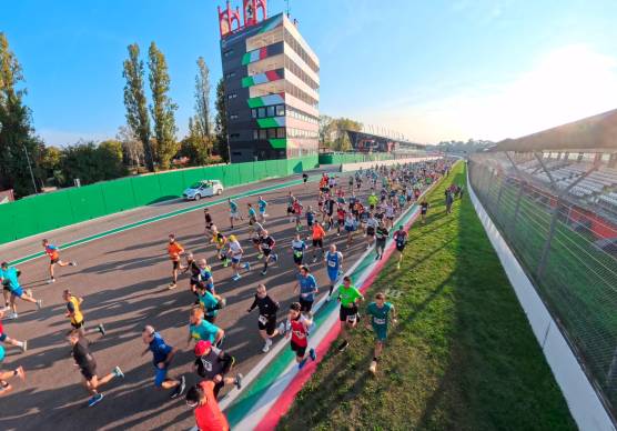 Imola, cavalli in fuga verso la corsa podistica bloccati in extremis dalla polizia locale con un capestro