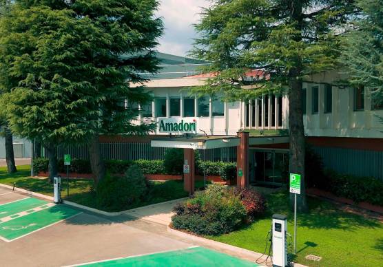 Cesena, il Gruppo Amadori e il rientro delle sorelle: la Francesco Spa impugna la sentenza