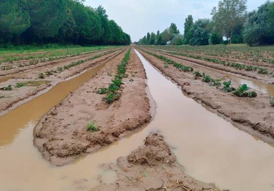 Alluvione, 16 milioni di euro risarciti alle Cab di Ravenna