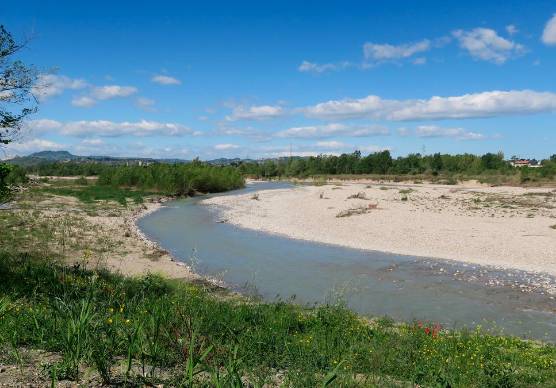 Santarcangelo, divieto di caccia lungo i fiumi Marecchia e Uso