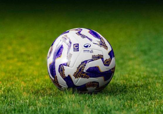 Scommesse anomale in Romagna su una partita di calcio in Grecia: chieste condanne per un totale di sette anni