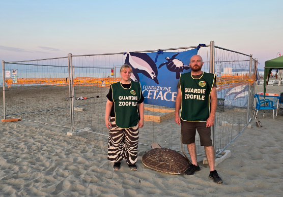 Tartarughe a Riccione, le Guardie Zoofile sorvegliano il nido di Caretta caretta VIDEO