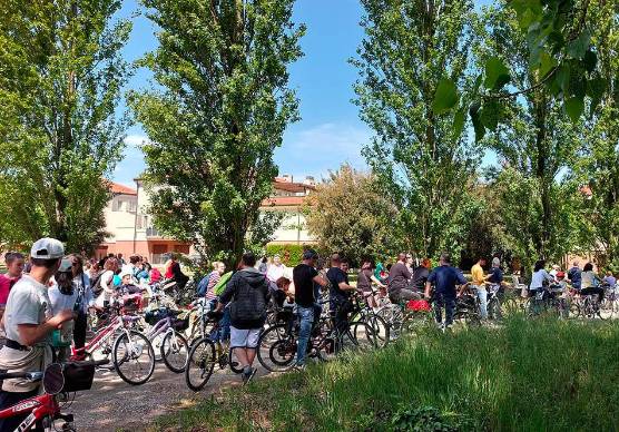Bagnacavallo, in bicicletta alla scoperta dei grandi alberi