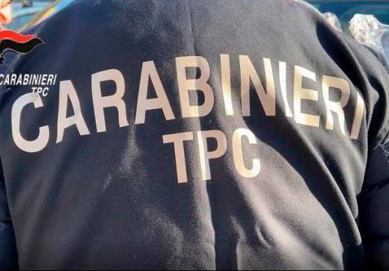 La maxi-truffa dei “tombaroli” contro il patrimonio archeologico: un arresto anche a Forlì