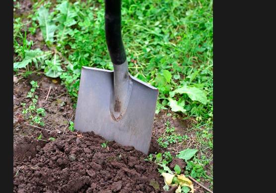 Rimini, nascondevano nel giardino i soldi e gioielli rubati dai figli: genitori a processo