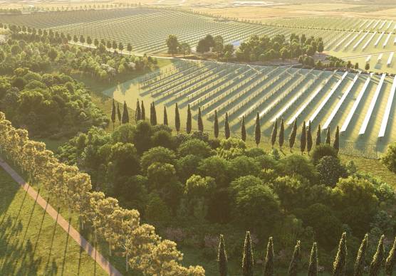 Un impianto agrivoltaico da 22.296 pannelli bifacciali e rialzati tre metri da terra sarà pronto entro l’estate