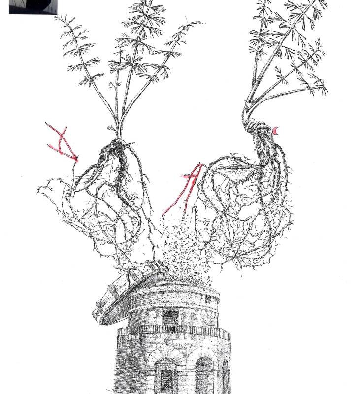 Ravenna Festival 2026: ecco il libro-guida del programma con le immagini di Mariella Busi De Logu