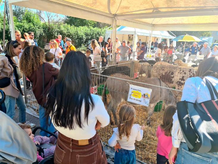 Santarcangelo, il sindaco Sacchetti: “Una fiera di San Michele più dinamica e sostenibile” - Gallery