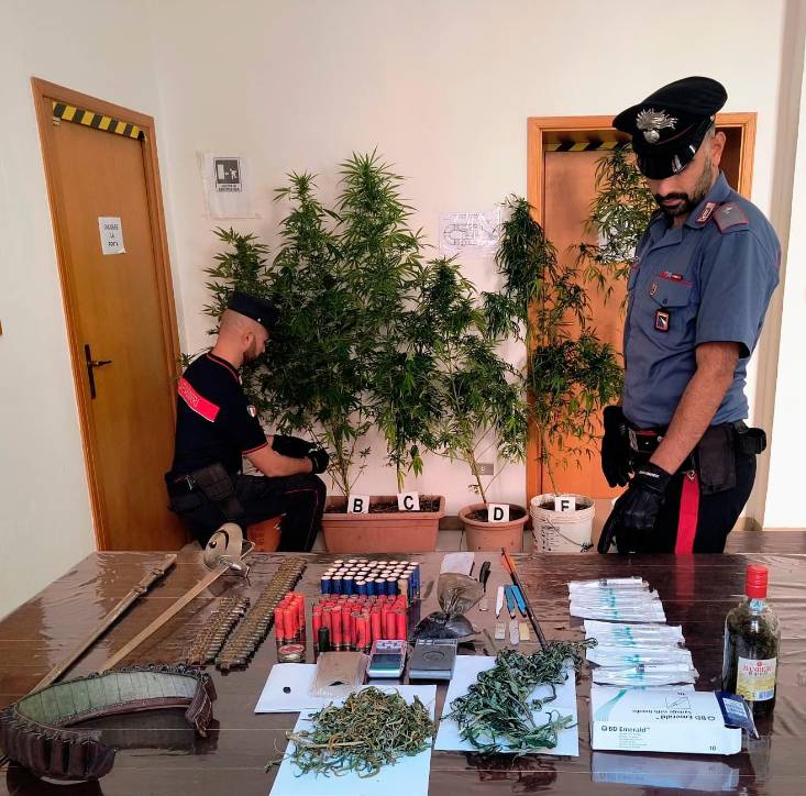 Predappio, coltivava marijuana e tra le armi detenute abusivamente c’era pure una sciabola: 55enne ai domiciliari