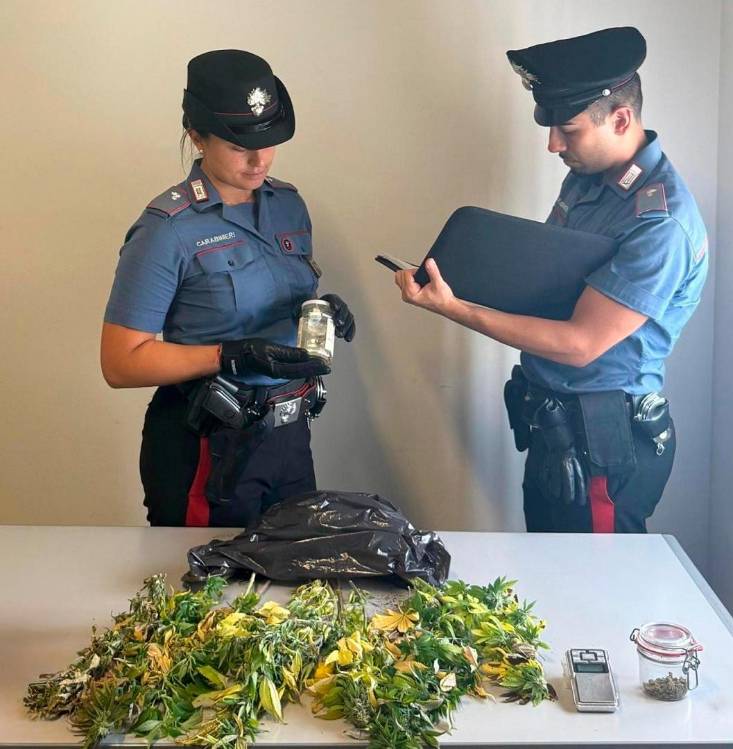 Forlì, coltiva marijuana in casa e tiene due piante in camera da letto: 49enne denunciato