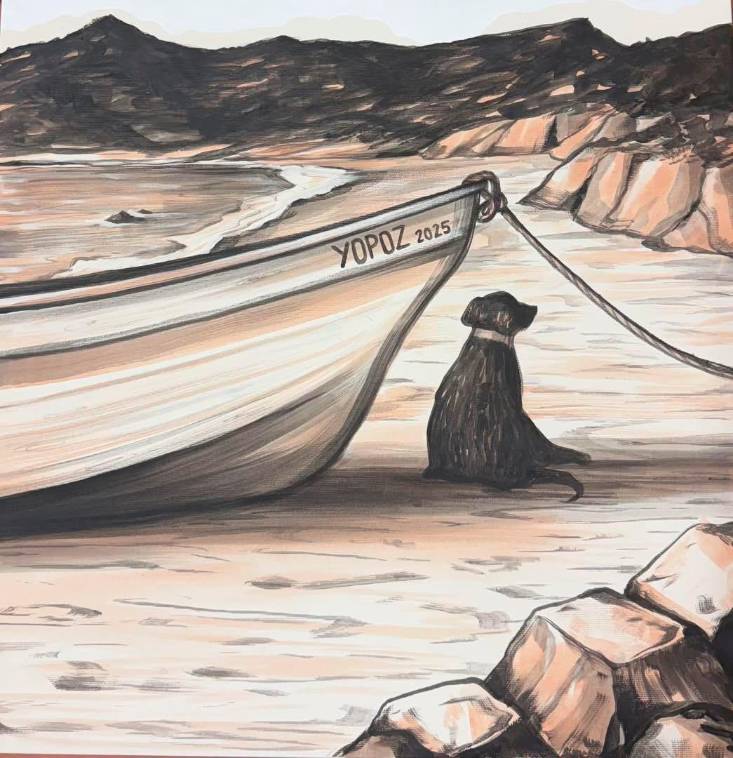 Riccione, parte l’asta benefica “Graffi di Canile 2.0”