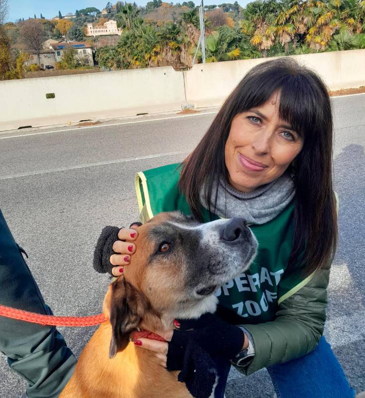 Le Guardie zoofile aumenteranno l’organico nel 2026