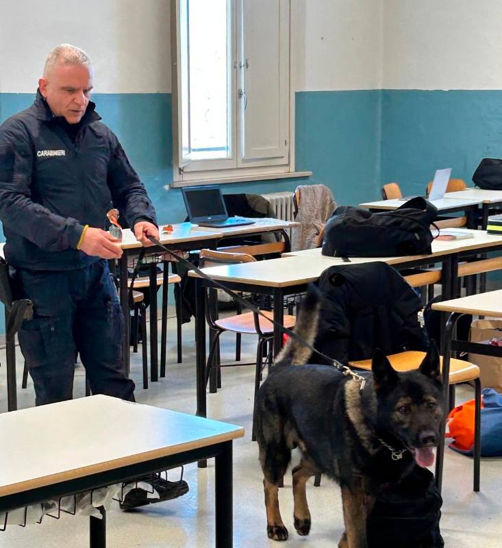 Rimini, i Carabinieri nelle scuole superiori con i cani antidroga: “Piena collaborazione di docenti e studenti”