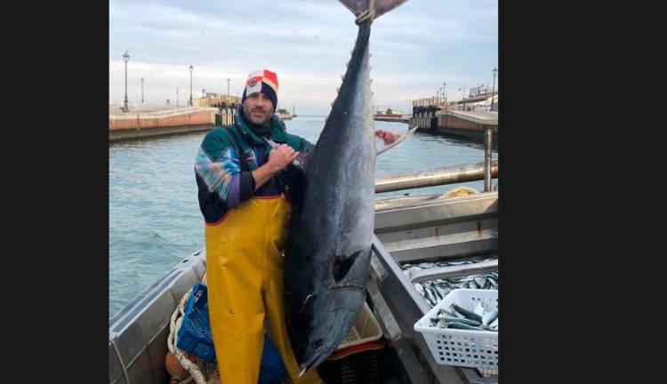 Al largo di Rimini un tonno di 110 chili nella rete dei pescatori di Cesenatico