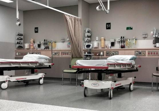 Suicidio assistito: scontro tra Governo e Regione Emilia-Romagna