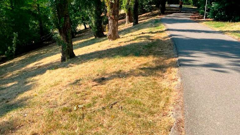 Rimini. A 9 anni cade in bici al Parco della Cava e sbatte la testa, i genitori: “Chiederemo i danni al Comune”