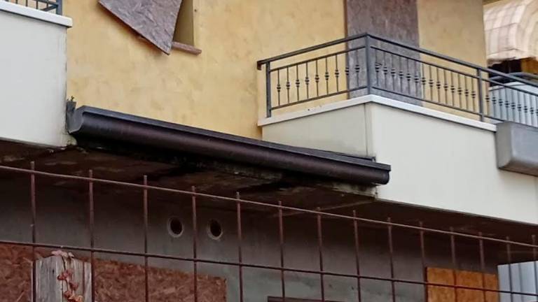 Il palazzo incompleto ricettacolo di animali