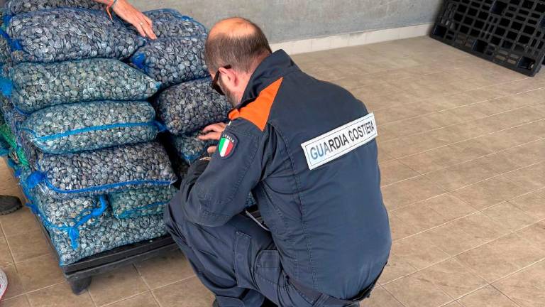 Cesenatico, pescano oltre i limiti e nascondono le vongole nella stiva e in cabina: pescatori multati di 2mila euro